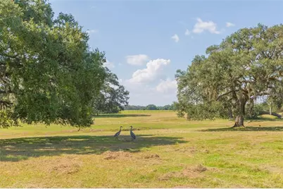 16225 Bellamy Brothers Boulevard, Dade City, FL 33525 - Photo 44