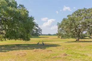 16225 Bellamy Brothers Blvd, Dade City, FL 33525 - Photo 44