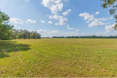 16225 Bellamy Brothers Boulevard, Dade City, FL 33525 - Photo 68