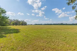 16225 Bellamy Brothers Blvd, Dade City, FL 33525 - Photo 68