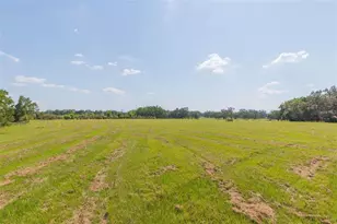16225 Bellamy Brothers Blvd, Dade City, FL 33525 - Photo 48