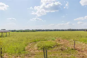 16225 Bellamy Brothers Blvd, Dade City, FL 33525 - Photo 62