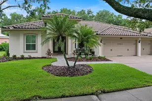 4987 Cross Pointe Dr, Oldsmar, FL 34677 - Photo 60