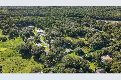 Livingston Ave, Lutz, FL 33559 - Photo 4