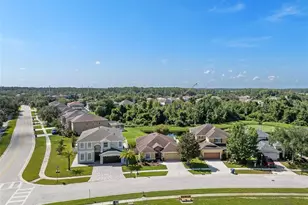 19002 Narimore Dr, Land O Lakes, FL 34638 - Photo 56