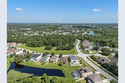 19002 Narimore Drive, Land O Lakes, FL 34638 - Photo 54