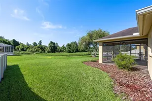 19002 Narimore Dr, Land O Lakes, FL 34638 - Photo 46