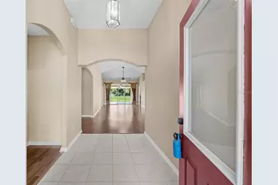 19002 Narimore Drive, Land O Lakes, FL 34638 - Photo 6