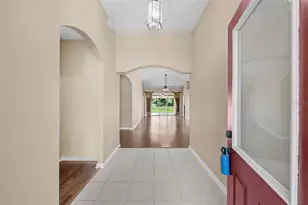 19002 Narimore Dr, Land O Lakes, FL 34638 - Photo 6
