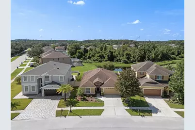 19002 Narimore Drive, Land O Lakes, FL 34638 - Photo 2