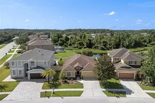 19002 Narimore Dr, Land O Lakes, FL 34638 - Photo 2