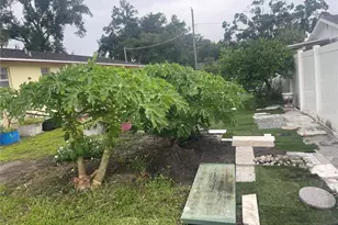 8415 N Gomez Ave, Tampa, FL 33614 - Photo 34