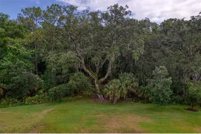 26888 Fiddlewood Loop, Wesley Chapel, FL 33544 - Photo 52