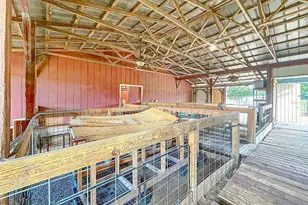 16736 Powerline Rd, Dade City, FL 33523 - Photo 32