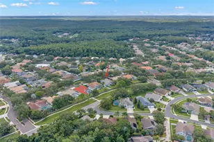 1730 Captiva Dr, Oldsmar, FL 34677 - Photo 64