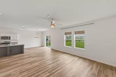 35746 Buttonweed Trail, Zephyrhills, FL 33541 - Photo 12