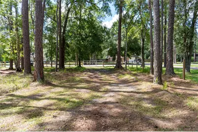 27729 Green Willow Run, Wesley Chapel, FL 33544 - Photo 6