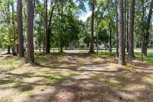27729 Green Willow Run, Wesley Chapel, FL 33544 - Photo 6
