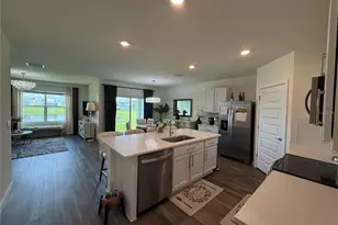 31800 Oyster Trellis Ln, Wesley Chapel, FL 33545 - Photo 4