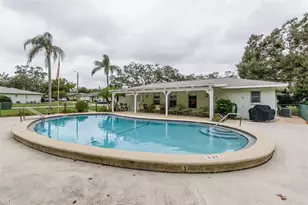 1139 Orange Tree Cir E, Palm Harbor, FL 34684 - Photo 20