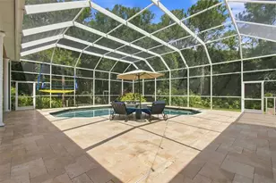 9212 Pine Island Ct, Tampa, FL 33647 - Photo 64