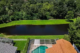 1259 Paradise Lake Dr, Tarpon Springs, FL 34689 - Photo 8