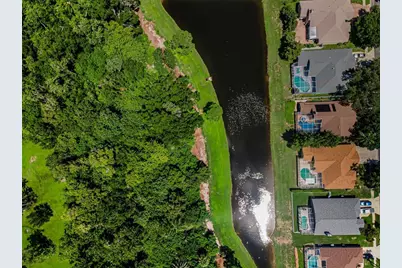 1259 Paradise Lake Drive, Tarpon Springs, FL 34689 - Photo 72