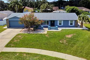 2423 Buckhorn Manor Dr, Valrico, FL 33594 - Photo 2