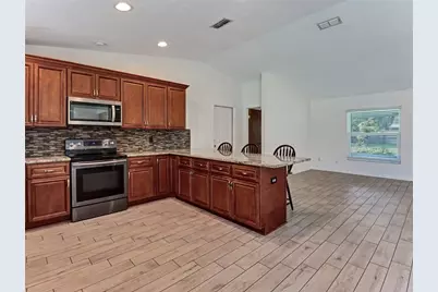 2423 Buckhorn Manor Drive, Valrico, FL 33594 - Photo 14