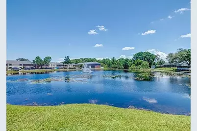 13812 Orange Sunset Drive #0, Tampa, FL 33618 - Photo 20