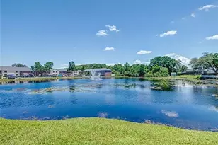 13812 Orange Sunset Dr, Tampa, FL 33618 - Photo 20