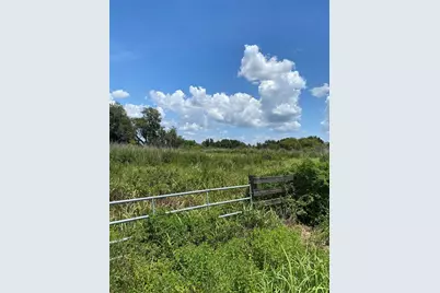 12532 Andrews Road, Wimauma, FL 33598 - Photo 4