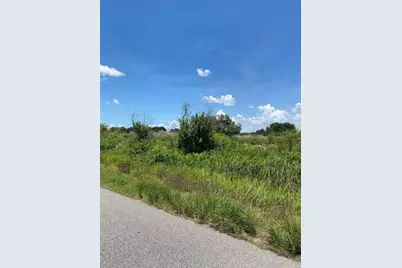 12532 Andrews Road, Wimauma, FL 33598 - Photo 8