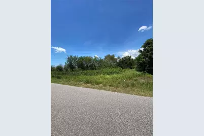 12532 Andrews Road, Wimauma, FL 33598 - Photo 10