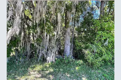 Union Street, Brooksville, FL 34601 - Photo 6