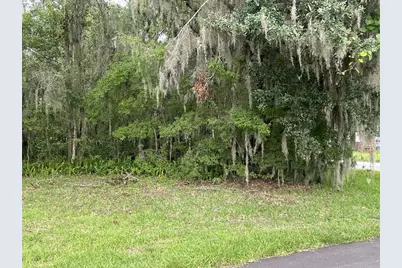 Union Street, Brooksville, FL 34601 - Photo 4