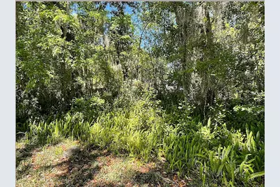 Union Street, Brooksville, FL 34601 - Photo 2