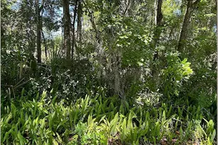 Union St, Brooksville, FL 34601 - Photo 1