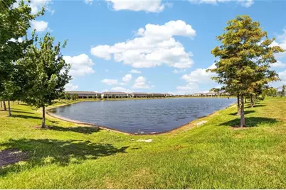 331 Mangrove Shade Circle, Apollo Beach, FL 33572 - Photo 20
