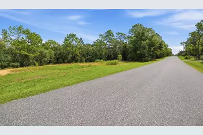 1345 E Ray Street, Hernando, FL 34442 - Photo 4