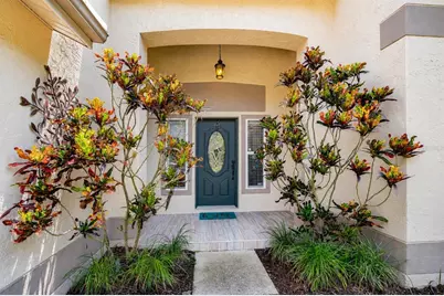 5424 Windbrush Drive, Tampa, FL 33625 - Photo 8