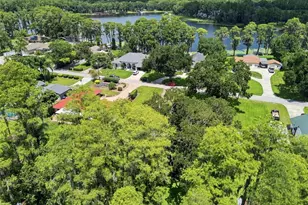 210 Lake Hobbs Rd, Lutz, FL 33548 - Photo 64