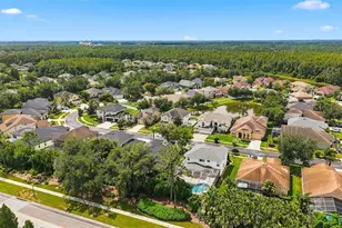 27417 Silver Thatch Dr, Wesley Chapel, FL 33544 - Photo 24