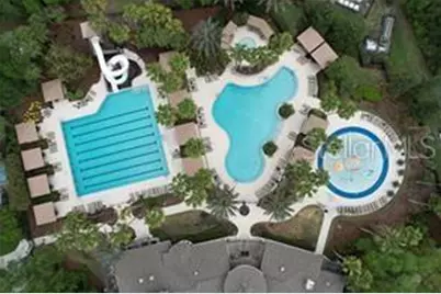 27417 Silver Thatch Drive, Wesley Chapel, FL 33544 - Photo 64