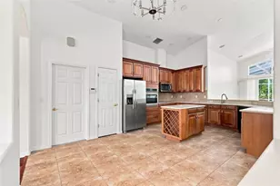 27417 Silver Thatch Dr, Wesley Chapel, FL 33544 - Photo 14