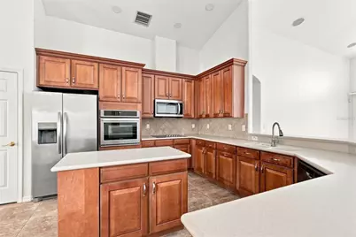 27417 Silver Thatch Drive, Wesley Chapel, FL 33544 - Photo 12