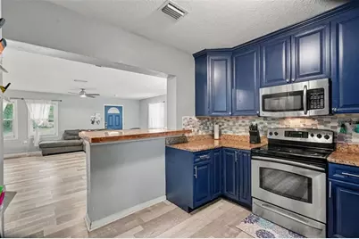 1509 W Barr Drive, Tampa, FL 33603 - Photo 14