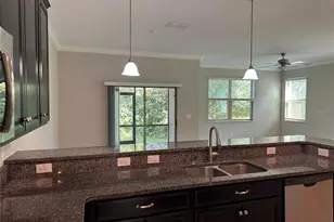 1389 White Fox Run, Lutz, FL 33549 - Photo 12