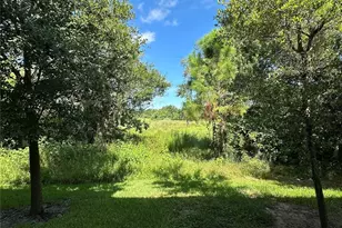 1389 White Fox Run, Lutz, FL 33549 - Photo 16