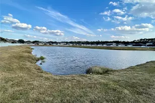 13205 Orca Sound Dr, Riverview, FL 33579 - Photo 40